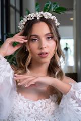 Antonieta diadema