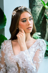 Andrea diadema