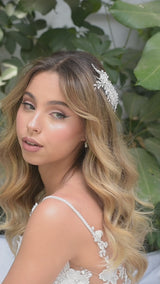 Alida guía