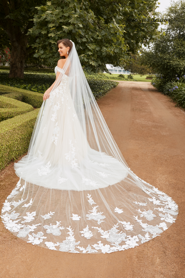 Sophia | Y22265
